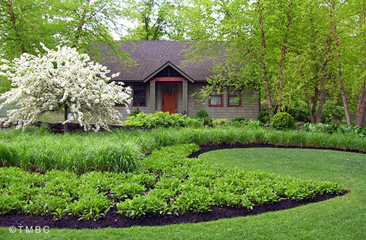 Garden and planting detail